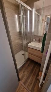 a bathroom with a shower and a sink at P2 au pied des Pistes La Joue du Loup in Le Dévoluy