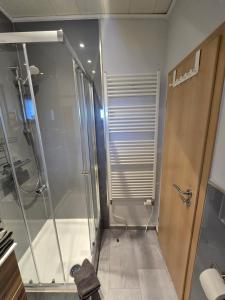 a shower with a glass door in a bathroom at Zur Königslay in Bullay +48 photos