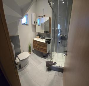 a bathroom with a shower and a toilet and a sink at Zur Königslay in Bullay