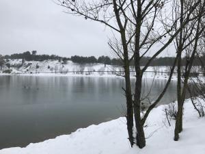a lake covered in snow with a tree in the foreground at Appartement moderne centre du Crès in Le Crès