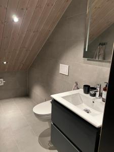 une salle de bain avec un lavabo et des toilettes dans l'établissement Soleiknuten Ålsheia Moderne Hytte i Naturskjønne Omgivelser, à Tjørhom 13 autres photos