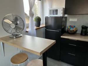 Kuchyň nebo kuchyňský kout v ubytování Bella Apartment Ostrava