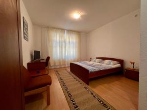 TV a/nebo společenská místnost v ubytování Wellness & Spa - Hotel Oaza