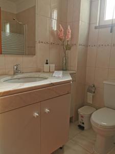 ein Badezimmer mit Waschbecken, Toilette und Spiegel in der Unterkunft Pico Barcelos - Funchal in Funchal + 22 Fotos