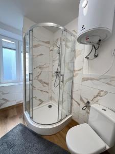 a bathroom with a shower and a toilet at Kawalerka Łódź 51 in Łódź