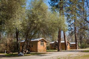 une cabane en rondins avec des arbres devant elle dans l'établissement Sierra Meadows, à Ahwahnee