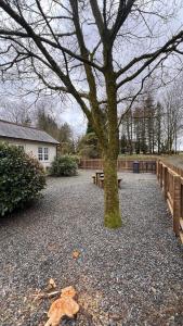 Fotografie z fotogalerie ubytování Wrens nest v destinaci Newton Stewart