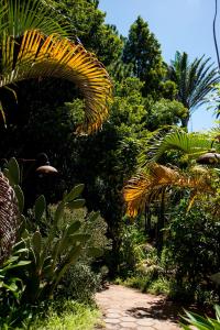 Gallery image of Au Bois Vert - Hôtel Ivato Airport in Ambohijanahary +26 photos