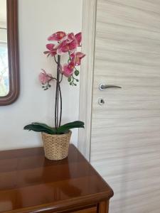 Gallery image of Il Giardino Del Nespolo in Arcola