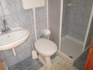a bathroom with a toilet and a sink and a shower at Apartments Helena in Primošten