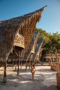 Fotografie z fotogalerie ubytování Isla - The Island Experience v destinaci El Nido