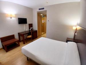 TV a/nebo společenská místnost v ubytování Hotel Campos de Castilla