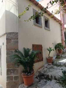 una casa con macetas delante de una puerta en Da Giorgia, en Forza dʼAgro