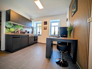 Kuchyň nebo kuchyňský kout v ubytování Business- & Urlaubswohnung