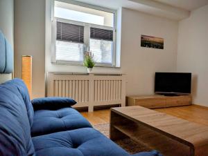 TV a/nebo společenská místnost v ubytování Business- & Urlaubswohnung