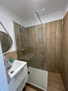 Un baño con ducha, lavabo y espejo. en Joli studio cabine centre port la baleine rose, en Cap d'Agde