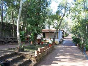 Κήπος έξω από το Residencial Boavistense by Umbral