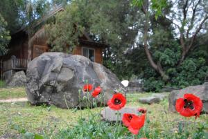 Galeriebild der Unterkunft wooden Edge Of The Village in Ma'ale Gamla