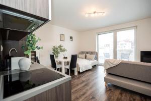 ALURE RESIDENCES 14 & 24h self check-in, private parking in front of the apartment building included, new building, CITY CENTER في بانسكا بيستريتسا: مطبخ وغرفة معيشة مع أريكة وطاولة