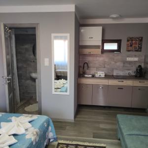 a room with a kitchen and a bathroom at Kovács Guesthouse in Praid