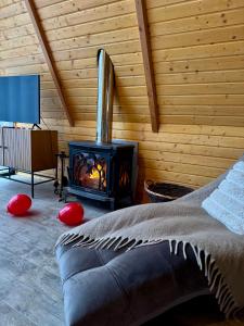 a living room with a couch and a fireplace at Codrii Doftanei in Teşila