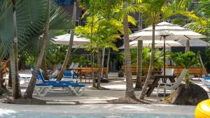 Bazén v ubytování Arenal Volcano Glamping Resort nebo v jeho okolí