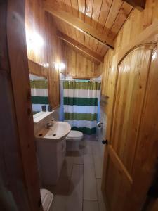 a bathroom with a sink and a toilet and a shower at Cabaña Vista Hermosa 6 Personas Conaripe in Panguipulli +14 photos