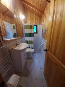 a bathroom with a sink and a toilet and a shower at Cabaña Vista Hermosa 6 Personas Conaripe in Panguipulli