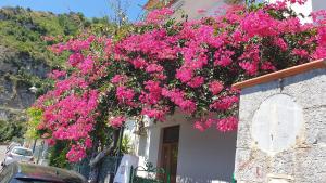 Un árbol con flores rosas en el costado de un edificio. en Villa Grace Amalfi seaview, en Amalfi 69 fotos más
