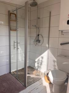 a bathroom with a shower and a toilet at La bulle de sérénité in Six-Fours-les-Plages