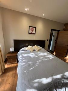 Cama ou camas em um quarto em Hermoso departamento en la mejor zona
