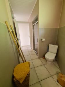 Elle comprend une petite salle de bains pourvue de toilettes et d'une fenêtre. dans l'établissement Villa Doucè Soley, à Rivière-Pilote 3 autres photos