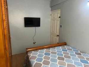 Un pat sau paturi într-o cameră la The Lime Suite Apt #2