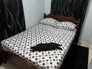 Un pat sau paturi într-o cameră la The Lime Suite Apt #2