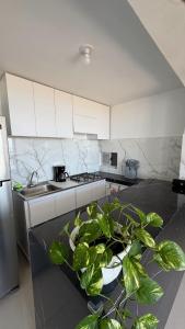 a kitchen with a potted plant in the middle at Apartamento con Vista espectacular en Barranquilla in Barranquilla