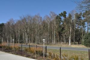 una carretera con una valla y árboles en el fondo en Hotel Castellana, en Lessien