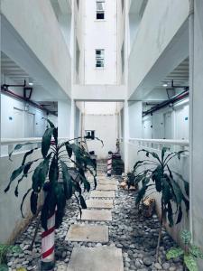 un pasillo con una planta en el medio de un edificio en Smart Stay 2600 - Solo Condo Studio Units, en Baguio