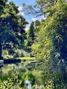 a view of a river with trees and a forest at Cosy Hampshire Barn Getaway, Large garden alongside a stunning river - Fire Pit, BBQ, Outdoor seating - Country walks & Pubs in East Dean