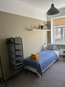 a bedroom with a bed and a book shelf at Mazais Baumanis in Valmiera