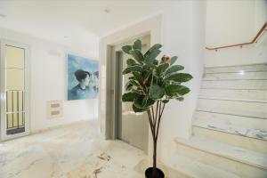 a plant in the corner of a room with a staircase at Safira Suites 302 in Funchal +47 photos
