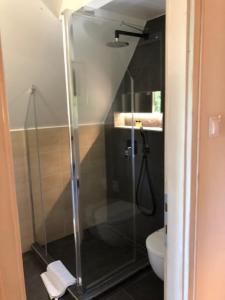 a bathroom with a shower and a toilet at Kavics Kabin in Nagymaros