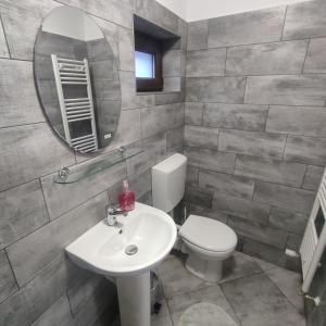 a bathroom with a sink and a toilet and a mirror at Kovács Guesthouse in Praid +114 photos