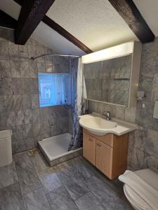 Vannituba majutusasutuses Hotel Surselva