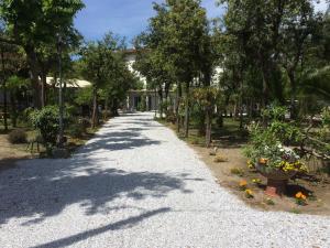 a walkway in a park with trees and flowers at Hotel Raffaelli Villa Angela in Forte dei Marmi