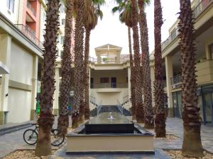 una hilera de palmeras frente a un edificio en Urban Oasis at The Square, en Ciudad del Cabo