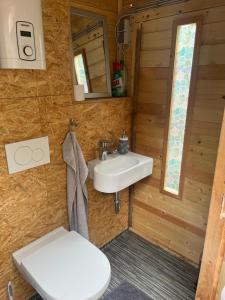 a bathroom with a sink and a toilet at Forsthäuschen am Ponyhof in Wonsheim