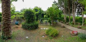 a garden with a pergola and some plants and trees at Villa Aurora Caprese in Capri