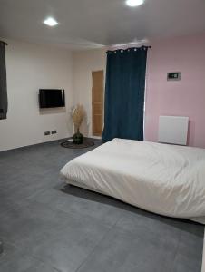 a bedroom with a white bed and a tv at La Maison Villageoise in Baix +9 photos
