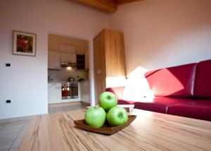 A kitchen or kitchenette at Gasserhof Aicha
