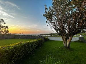 a tree in a grassy yard with the sunset in the background at The Burren Coach House in Bealaclugga